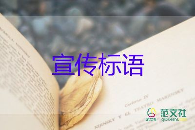 茅臺冰淇淋上線含有2%飛天茅臺，白酒銷售年終工作心得3篇
