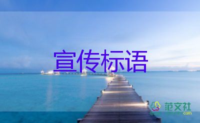 北京的個人名下第二輛及以上小客車將有序退出，車輛管理工作總結(jié)2篇