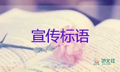 秦皇島禁柴封灶當?shù)毓俜交貞?yīng)來了
