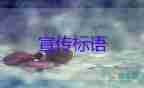 宜家上海楊浦店將于7月將關(guān)閉，商場服務(wù)心得體會3篇