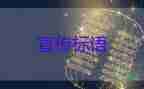 肯德基的可達鴨刷屏背后:炒到500元一個，玩具總動員作文3篇