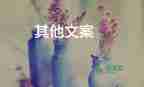 新東方表示發(fā)霉桃子已經(jīng)退款，網(wǎng)絡(luò)直播學(xué)習心得體會3篇
