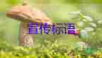 長沙獲救的女孩對消防說“你是我的希望”，消防員個人年度工作總結(jié)2篇