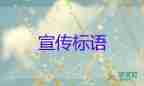 官方：全國疫情整體呈現穩(wěn)定下降態(tài)勢，疫情防控工作總結3篇