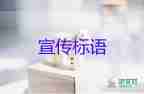 三部門發(fā)文進一步規(guī)范網(wǎng)絡(luò)直播營利行為，促進行業(yè)健康發(fā)展