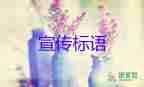 誠信主題宣傳標(biāo)語5篇