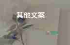 紀念袁隆平院士逝世一周年，袁隆平作文3篇