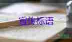 杭州火災犧牲的00后消防員吃百家飯長大的，消防員的工作總結(jié)3篇