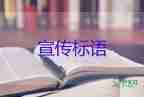為什么幾年前審的教材現(xiàn)在出問(wèn)題？插畫課程心得體會(huì)3篇