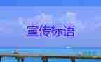 148人獲“北京冬奧會(huì)、冬殘奧會(huì)突出貢獻(xiàn)個(gè)人”稱號(hào)