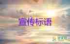 90后北大老師韋東奕談爆紅，數(shù)學學習心得體會3篇