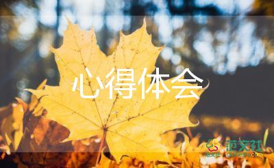 思政課個人心得體會5篇