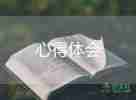 園本美術(shù)培訓(xùn)心得體會6篇