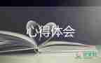 個(gè)人心得工作總結(jié)優(yōu)質(zhì)8篇