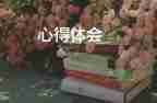 幼兒園教師網(wǎng)絡(luò)研修心得體會(huì)800字13篇