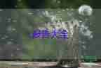 漢字的研究報告五年級400字10篇