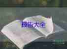 實踐報告總結范文3000字8篇