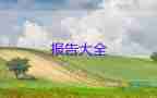 大學(xué)生社會志愿者實(shí)踐報(bào)告6篇
