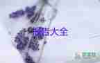 關(guān)于歷史教師述職報告通用范文6篇