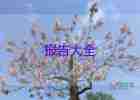暑假三下鄉(xiāng)社會實(shí)踐報(bào)告8篇