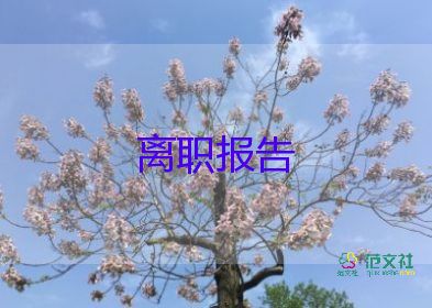 離職的申請(qǐng)書優(yōu)質(zhì)8篇