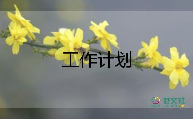 管理員的工作計劃精選7篇