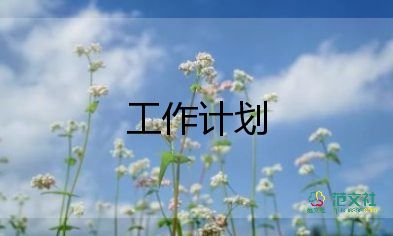 學(xué)生組織個(gè)人工作計(jì)劃7篇