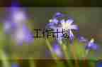 小學課程處工作計劃6篇