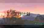骨科護(hù)士長年度工作計劃8篇
