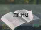 九上生物教學(xué)計劃6篇