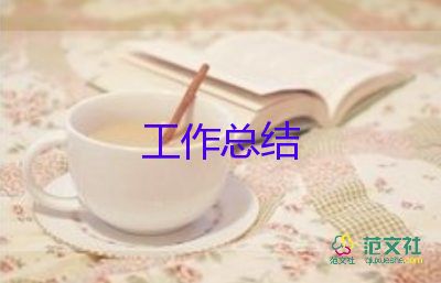 2024海關年度總結8篇