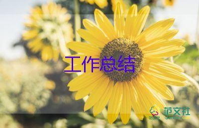 幼兒活動(dòng)的總結(jié)與反思最新8篇