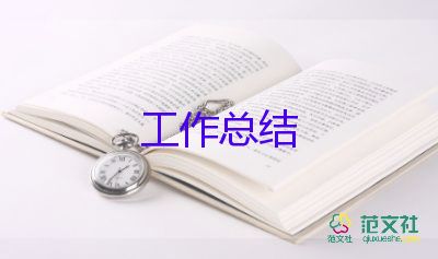 賣內(nèi)衣的工作總結(jié)5篇