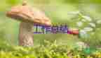 安保處個(gè)人工作總結(jié)7篇
