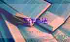 新消防員半年總結(jié)7篇