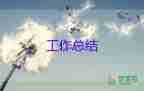 村環(huán)保日工作總結(jié)推薦5篇