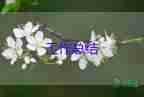 兩委換屆工作總結5篇
