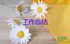 學校財務人員個人工作總結5篇