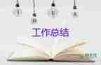 2023年人大個人工作總結(jié)5篇