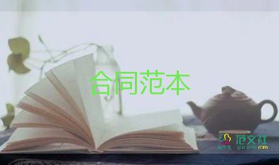 企業(yè)對個(gè)人借款合同優(yōu)質(zhì)8篇