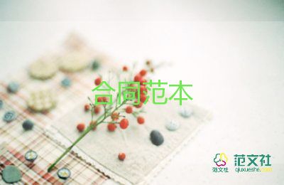 個(gè)人電子合同8篇