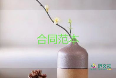 多項(xiàng)目合同模板8篇