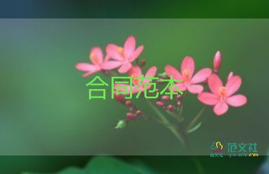 建設(shè)工程總承包合同7篇
