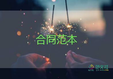 民間借貸反擔(dān)保合同8篇