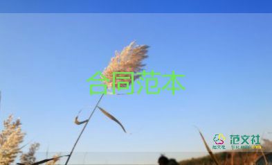 室內(nèi)軟裝修設(shè)計(jì)合同5篇