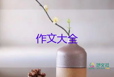 與誰相遇作文優(yōu)秀5篇
