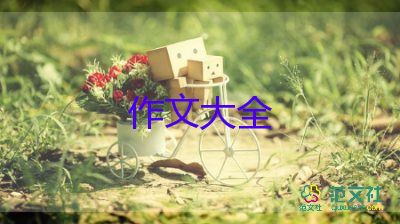 寫三國演義的作文400字6篇
