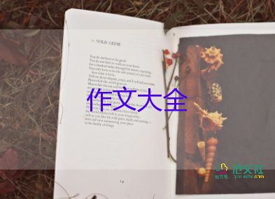我的爸爸的家的作文模板5篇