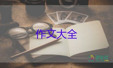 新年玩煙花作文優(yōu)秀6篇