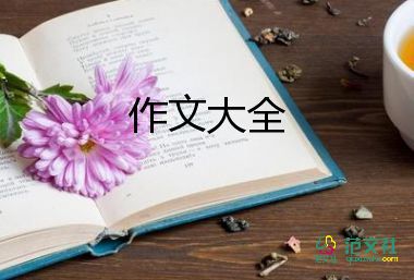 春節(jié)里的文化作文模板8篇